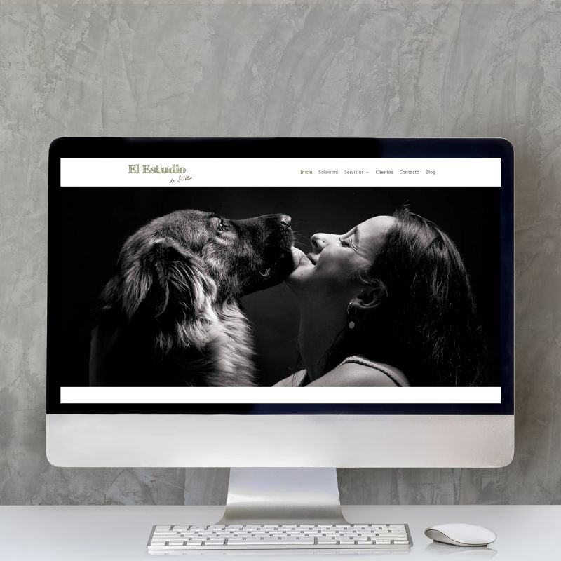 Copia-de-portafolio-web-1 diseño web artistas